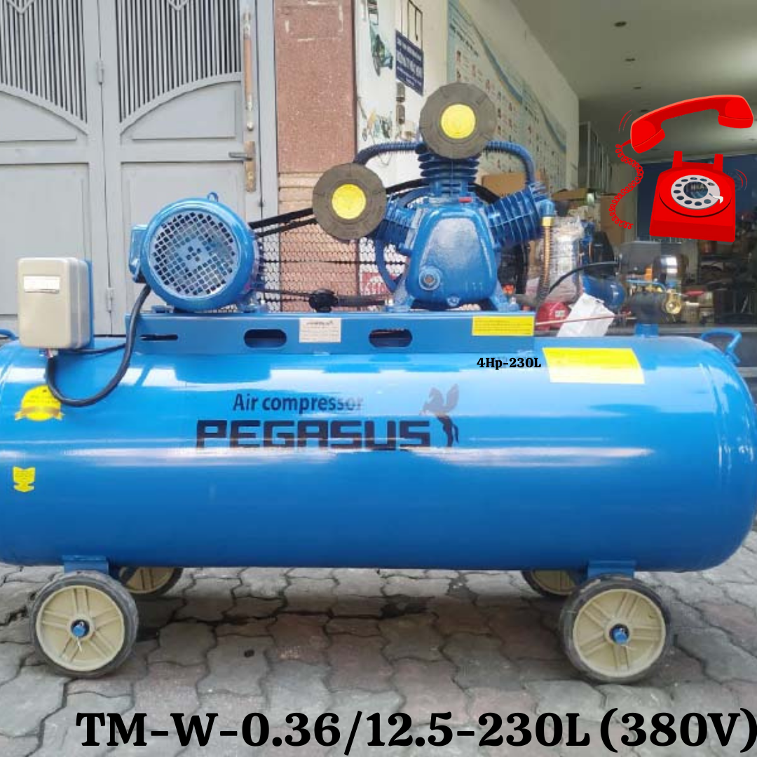 (Tiếng Việt) Máy nén khí dây đai Pegasus TM-W-0.36/12.5-230L (380V)