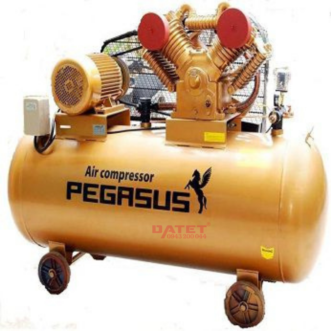 (Tiếng Việt) Máy nén khí dây đai Pegasus TM-W-1.6/8-500L