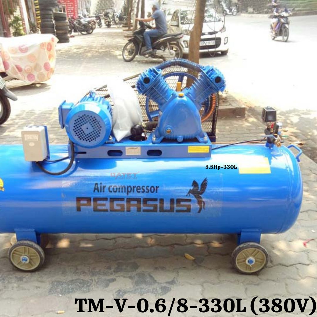 (Tiếng Việt) Máy nén khí dây đai Pegasus TM-V-0.6/8-330L (380V)